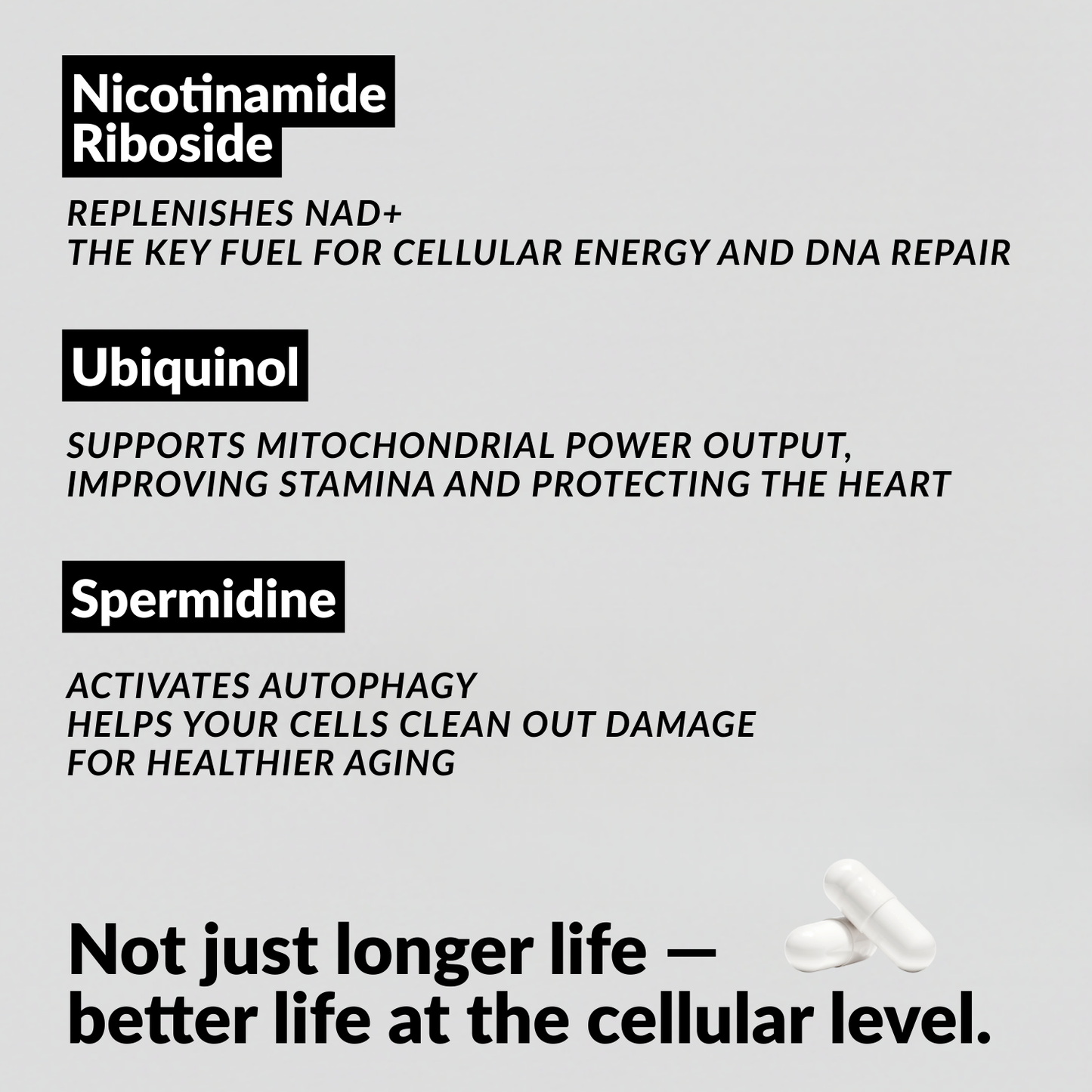 ASLF FOUNDATION CAPSULES