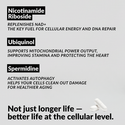 ASLF FOUNDATION CAPSULES