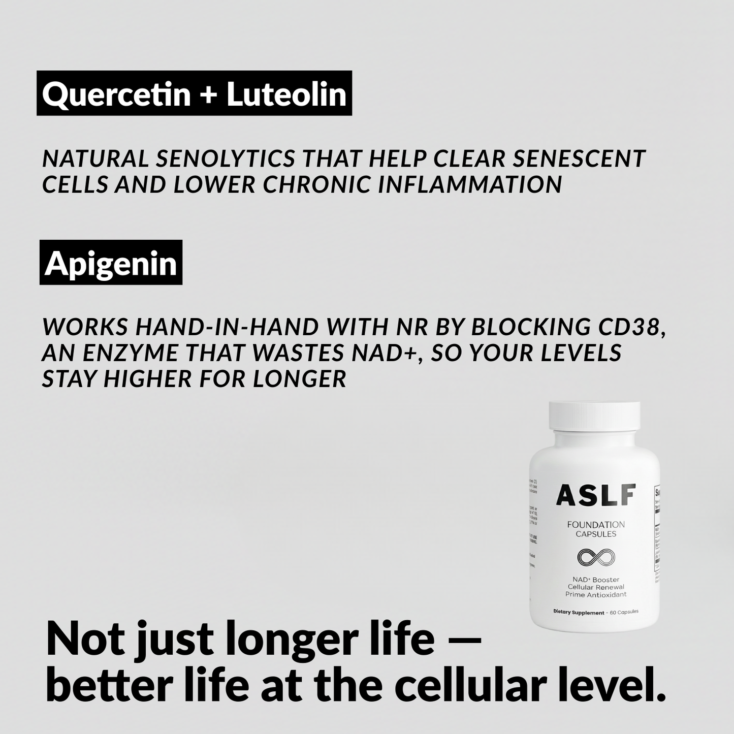 ASLF FOUNDATION CAPSULES