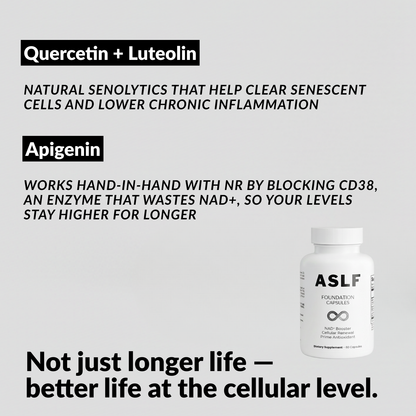 ASLF FOUNDATION CAPSULES