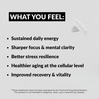 ASLF FOUNDATION CAPSULES