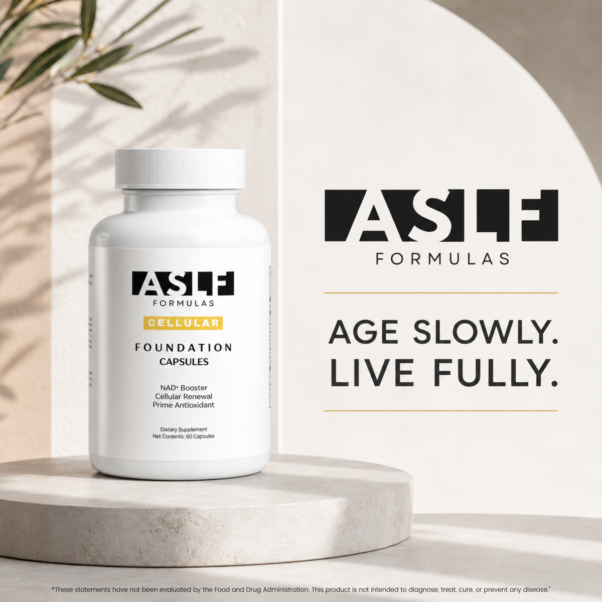 FOUNDATION CAPSULES