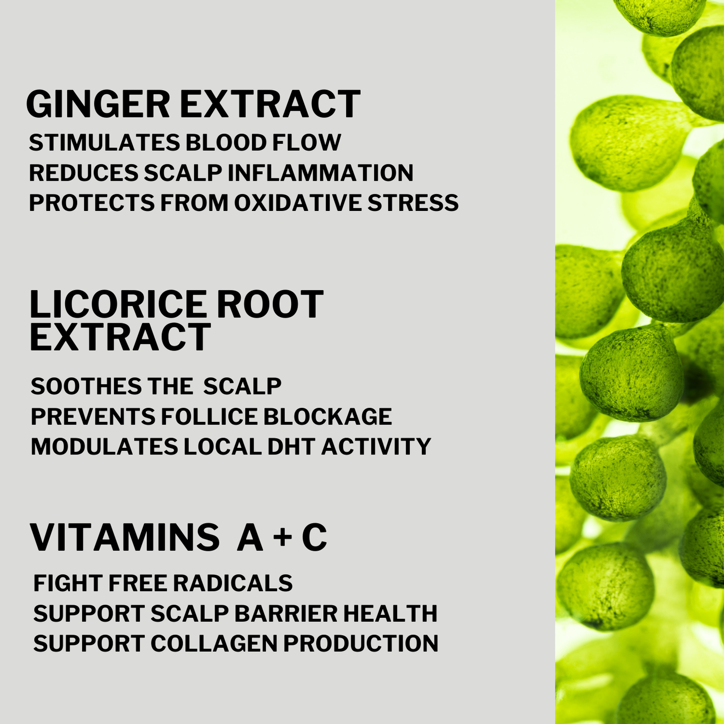 HAIR GROWTH BOOST SERUM (with Densidyl™)